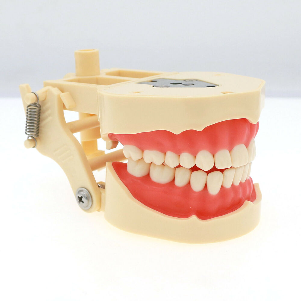Frasaco ANA-4 Diş Onarıcı Typo - Stethoscope incelemesi ve fiyatı